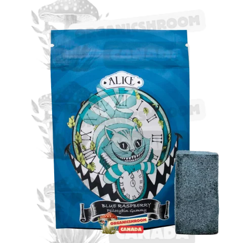 Immerse yourself in the tantalizing blend of flavors with Alice Psilocybin Mushroom Blue Raspberry Gummy, available at Organic Shroom Canada, a trusted mushroom dispensary to buy tidal wave mushrooms online.