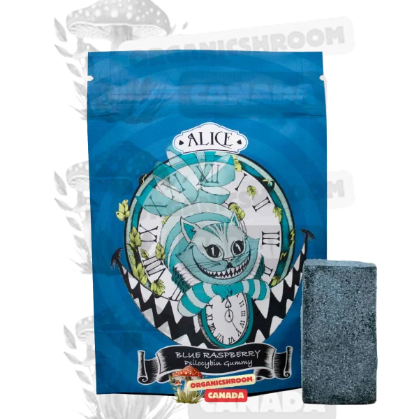 Immerse yourself in the tantalizing blend of flavors with Alice Psilocybin Mushroom Blue Raspberry Gummy, available at Organic Shroom Canada, a trusted mushroom dispensary to buy tidal wave mushrooms online.