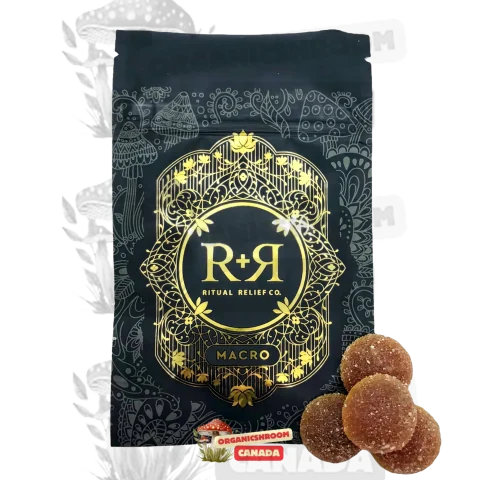 Elevate your wellness routine with Ritual Relief Fuzzier Peach Herodose Chews, available for online order at Organic Shroom Canada, trusted shroom dispensary to order shrooms online in Canada.