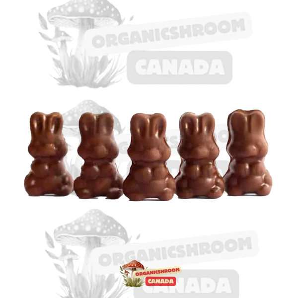 alice psilocybin mushroom chocolate bunnies