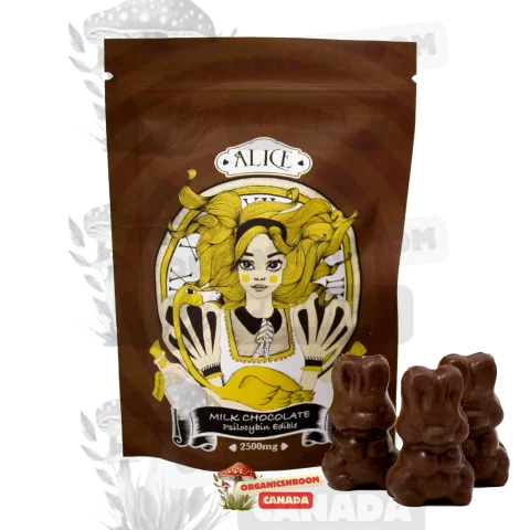 Delight in the enchanting fusion of premium chocolate and psilocybin mushrooms with Alice Psilocybin Mushroom Chocolate, available at Organic Shroom Canada, your trusted mushroom dispensary.