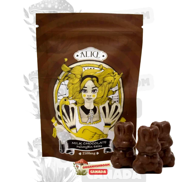 Delight in the enchanting fusion of premium chocolate and psilocybin mushrooms with Alice Psilocybin Mushroom Chocolate, available at Organic Shroom Canada, your trusted mushroom dispensary.