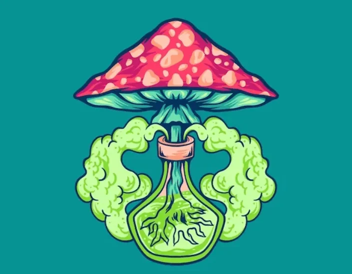 Psilocybin Guide to Magic Mushroom Tea: All You Need to Know about What Is Magic Mushroom Tea