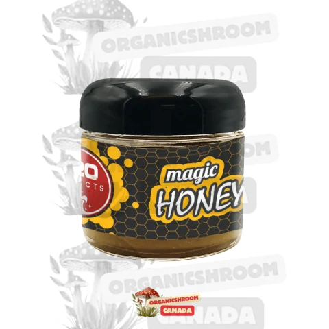 Immerse yourself in the enchanting world of 920 Extracts Magic Honey, available for purchase online at Organic Shroom Canada, your trusted source to buy psilocybe mushrooms online.