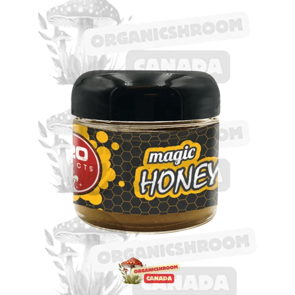 Immerse yourself in the enchanting world of 920 Extracts Magic Honey, available for purchase online at Organic Shroom Canada, your trusted source to buy psilocybe mushrooms online.