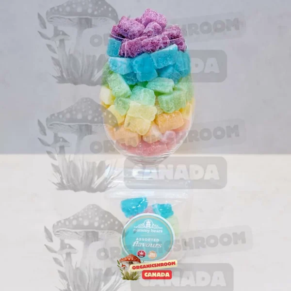 Indulge in the delightful taste of Nummy Land THC Gummy Bears, available at Organic Shroom Canada, your premier mushroom dispensary in Vancouver.