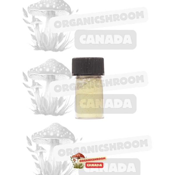 Discover the purest NN DMT Crystal available at Organic Shroom Canada, your premier Ottawa mushroom dispensary.