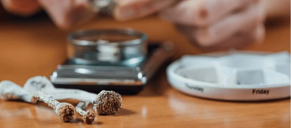 Unfortunately, with the rise of magic shrooms, more and more illegal and shady dispensaries are popping up. That means the possibility of buying possibly dangerous or ineffective shrooms is high!