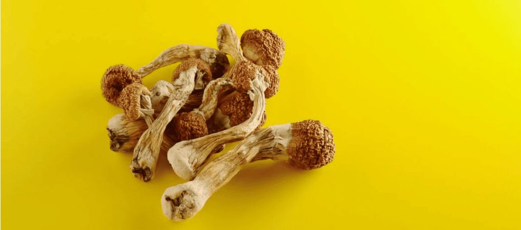 The after effects of shrooms are pretty intense and may last for quite a while. That said, how long a shroom trip lasts will depend on the following factors: 