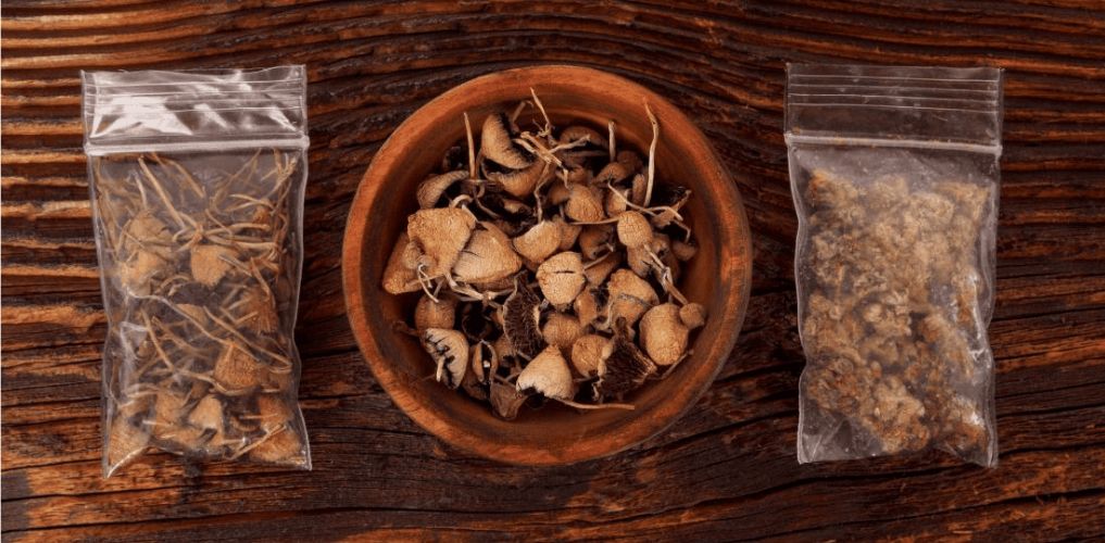 Learn how to micro dose mushrooms. Magic mushrooms microdosing enables you to enjoy the therapeutic benefits of psilocybin without overwhelming effects.