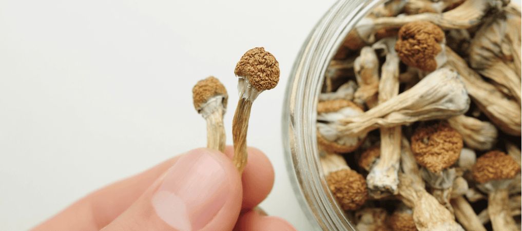 Once you ingest mushrooms, you’ll notice they don’t kick in at once and that the effects get stronger with time. 