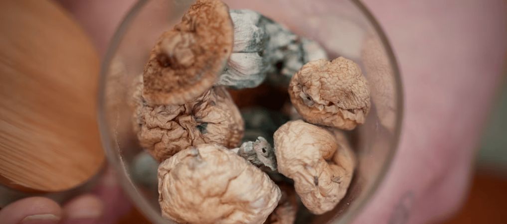 Before you buy magic mushrooms online, always remember to check the potency of the shrooms. 