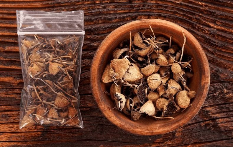 Craving the best psychedelic shrooms in Vancouver? Look no further! Our mushroom dispensary offers a variety of premium picks. Explore now!