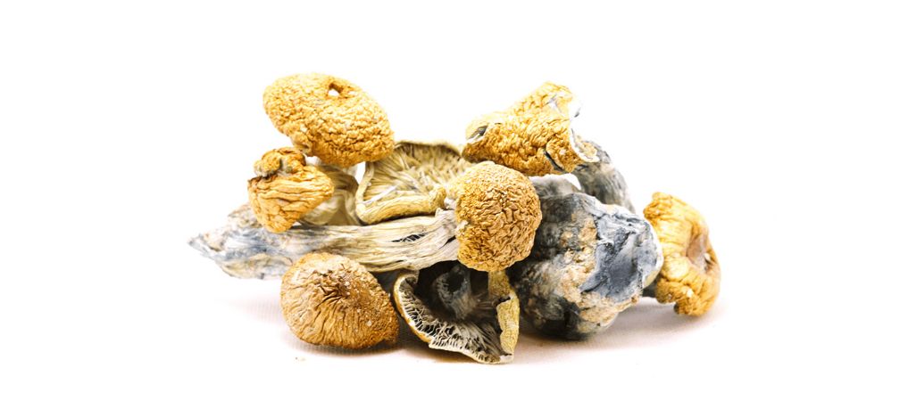 Another benefit of ordering magic mushrooms online is that you get quality and safe products.