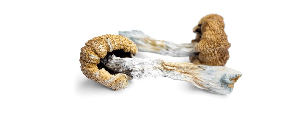 One of the main reasons why people choose to buy shrooms online is convenience. And it isn't just shrooms that you can shop online for; we also have other psychedelics available, including DMT and LSD.