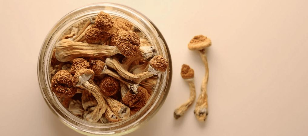 There's no better way to buy magic mushrooms than online, especially if you're wondering what are the strongest shrooms. 