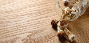 What are the benefits of buying shrooms online? This blog explores the top 5 benefits of buying mushrooms online & the best shroom dispensary.