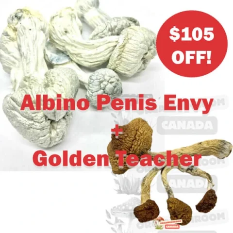 Albino Penis Envy and Golden Teacher