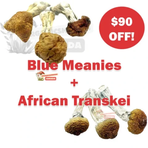 Blue Meanies and African Transkei