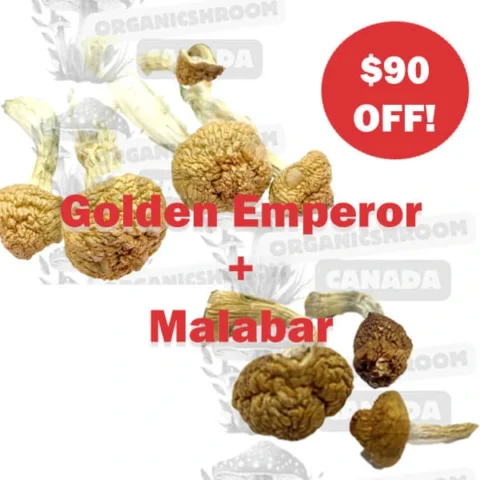 Golden Emperor and Malabar