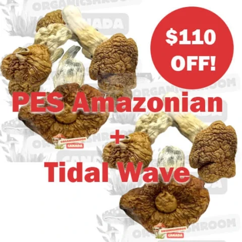 1 oz Mix and Match | 14g PES Amazonian + 14g Tidal Wave
